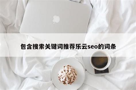 关键词优化软件乐云seo排名（专业关键词优化平台） - 恩派SEO