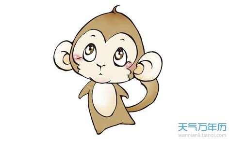 2016年属猴的是什么命(五行属火命)-风水人