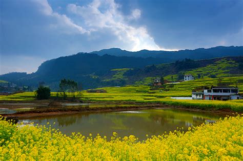 助推茶产业转型升级 四川屏山县绘制乡村振兴新蓝图-中国安全食品网