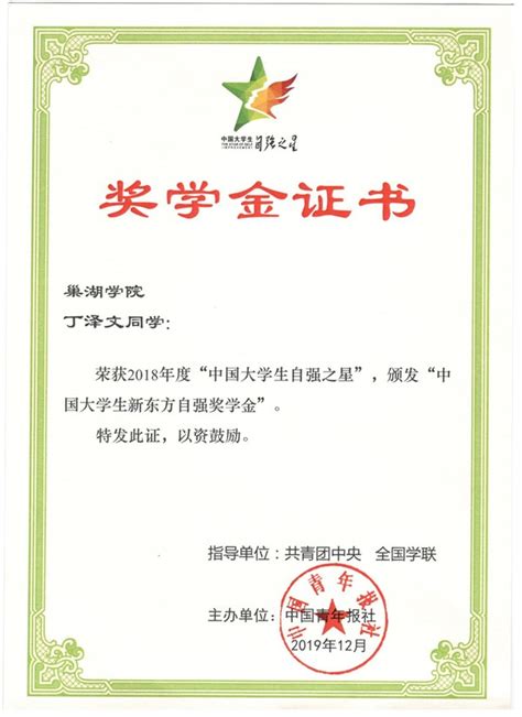 “中国大学生自强之星”奖学金证书