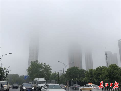 入梅以来武汉总降雨量达757.8毫米 居历史同期第2位_手机新浪网