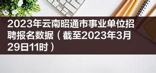 2023年云南昭通市事业单位招聘报名数据（截至2023年3月29日11时）