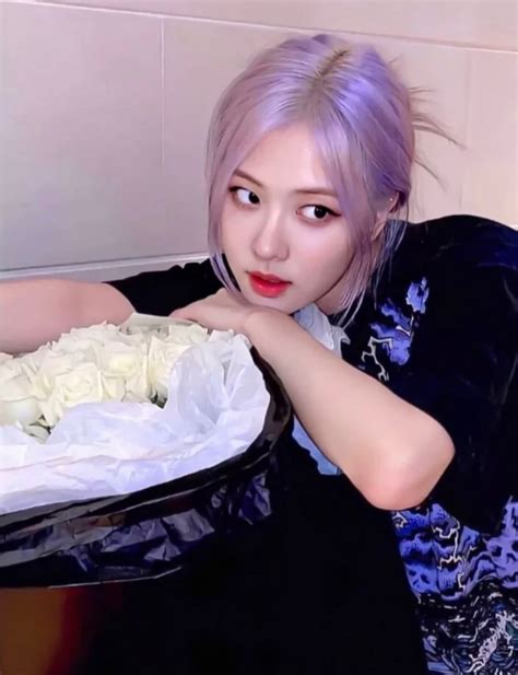 澳洲野玫瑰图片