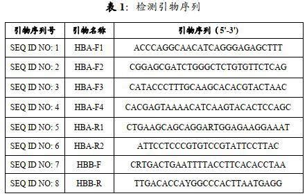 DNA载体构建——【干货】三图让你秒懂质粒图谱-深圳市安培生物科技有限公司