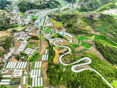 贵州黔西：“四好农村路”助力产业发展