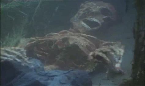 远古食人鱼究竟有多可怕，让游泳圣地的海边，瞬间变成了人间炼狱_腾讯视频
