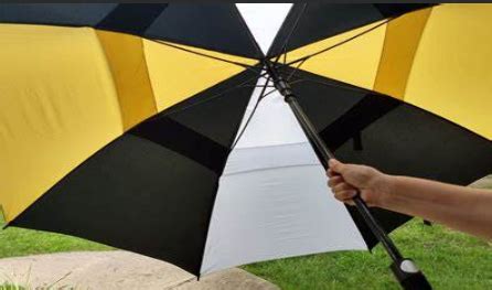 雨伞的英语单词,风筝的英语单词,雨伞英语_大山谷图库