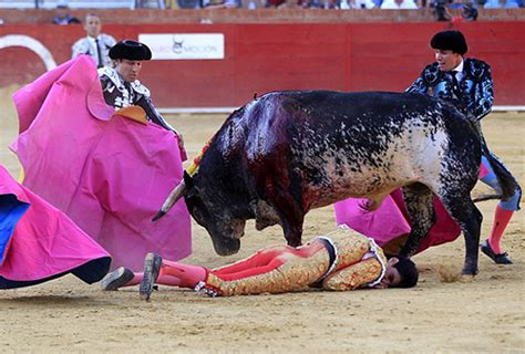 西班牙斗牛现场，斗牛士一剑直插入牛背，牛瞬间就扒下了