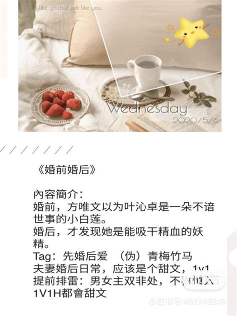 小说_[标签:标题1]