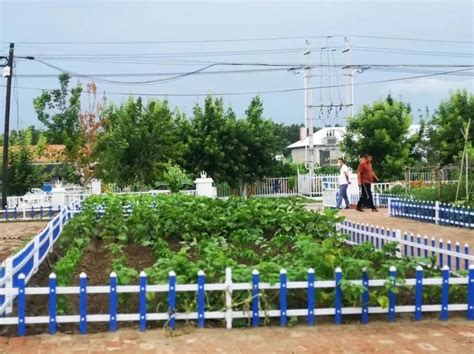 增“颜”又增“值” 我县举办美丽庭院（一米菜园）创建PK赛-开化新闻网