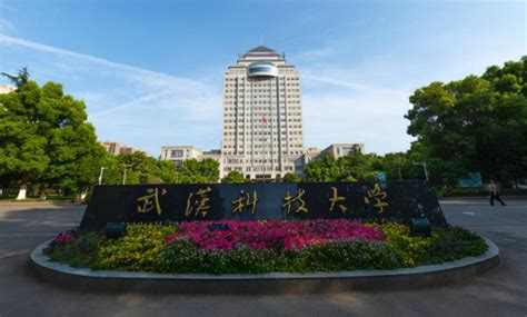 中国最美的十所大学 武汉大学以樱花而出名_巴拉排行榜