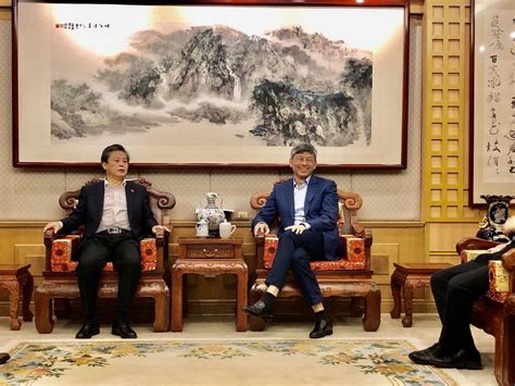 采访中国驻缅甸大使陈海：中缅关系发展进入新阶段