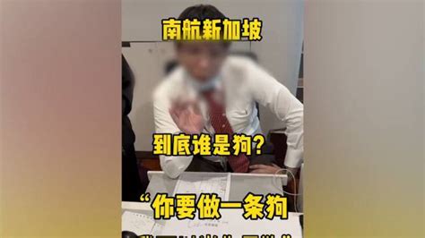 旅客称在新加坡乘机遭柜台人员辱骂，南航：正调查_手机新浪网