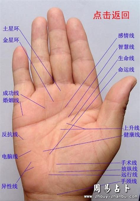 手相掌纹分析—生命线图解2 两条生命线的手相图解-周易算命网