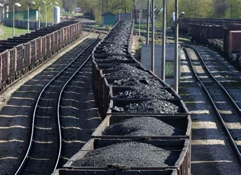 煤的形成过程是怎样的（一分钟了解煤炭的形成和分布） – 碳资讯