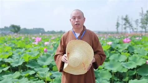 旅游村，贵港覃塘区覃塘街道龙凤村，荷美覃塘，千亩荷花开