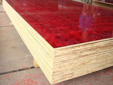 竹胶板 - 临沂标准模板厂