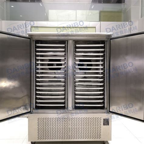 冰柜-转换型冷藏冷冻柜BC/BD-145DTE泰坦灰