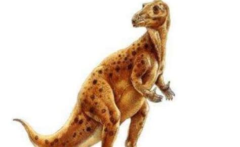 世界上最小的恐龙叫什么名字（十大最小的恐龙排名）-大盘站 - 大盘站