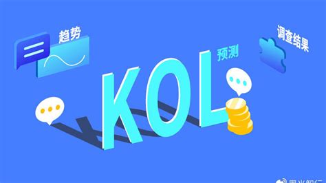 品牌选择KOL的正确姿势 _互联网_艾瑞网