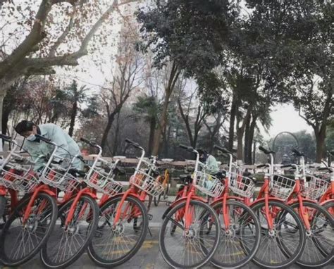 春节期间西安公共自行车免费骑 - 陕工网