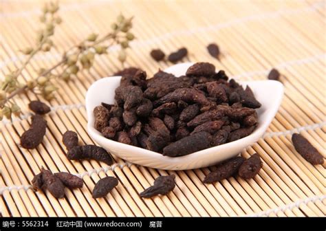香附的图片