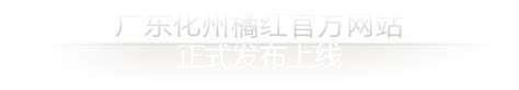 深圳再生资源回收企业官网案例_企业网站建设服务商_金柚互联