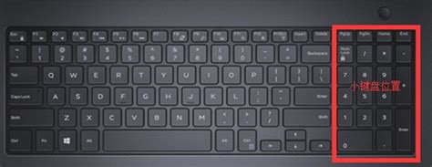 笔记本键盘按键怎么安装图解