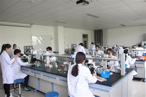 枣庄学院2023年大学生生物化学实验技能大赛成功举办-枣庄学院食品科学与制药工程