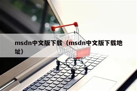 Msdn网站win10哪个是专业版？_办公软件之家