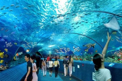 2023天津文化中心海底世界门票价格、表演时间表、游玩攻略-墙根网