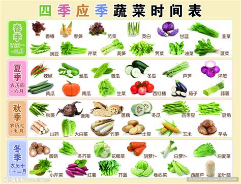 蔬菜营养价值,各种蔬菜的营养价值表,蔬菜营养表100克_大山谷图库