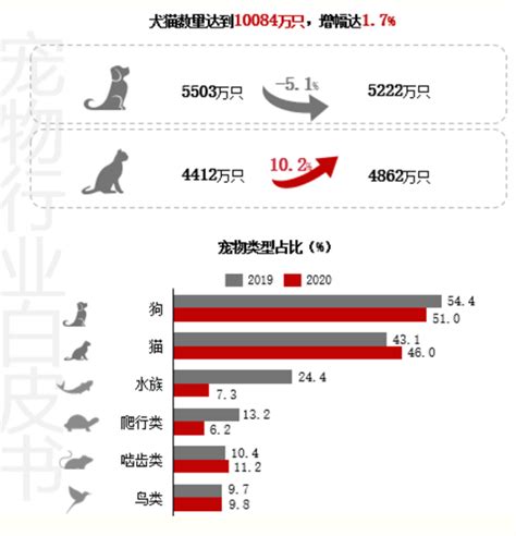 2020年中国养宠群体画像及消费结构分析 单身经济及银发经济共同推动宠物经济崛起。从各类养宠家庭占比情况看，目前猫狗仍然是主要的宠物类型。猫狗 ...
