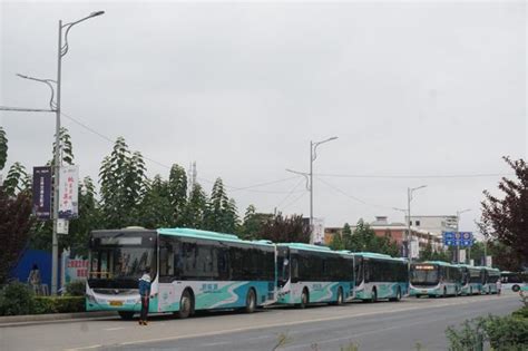 关于2022年春节期间肥城公交营运时间告示_市民_收车_运营