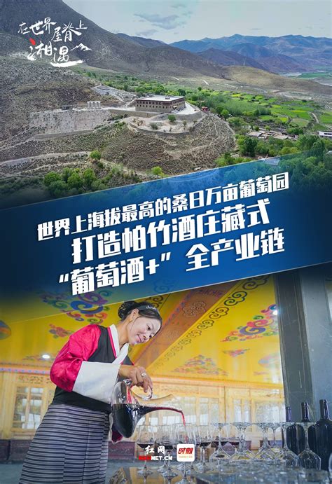 数字化转型提升企业效率，西藏昌都网助力本土地区电子商务发展 - 中国网