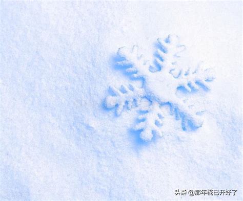 你再不来我要下雪了情人节七夕节520文案艺术字设计图片-千库网