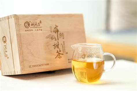 中国最古老的茶园，布朗族每家每户都拥有千年古茶树_频道_腾讯网