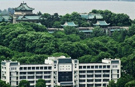 武汉最好的十所大学排名，武汉大学位居第一(3)_巴拉排行榜