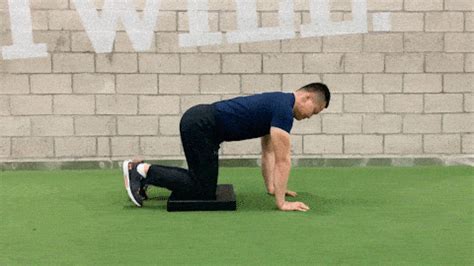 OneFit健身学院 | 四点支撑的进阶练习_腰椎