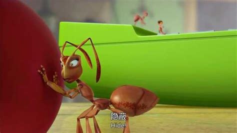 《别惹蚂蚁》不能让姐姐发现蚂蚁搬巧克力，蚂蚁们快藏好