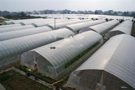 薄膜温室大棚产品系列展示__青州艺博温室工程有限公司
