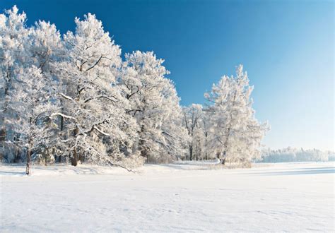 创意冬季背景图片-闪亮的下雪风景素材-高清图片-摄影照片-寻图免费打包下载