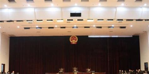 广东惠州15人重大涉黑案终审 首犯死缓并限制减刑_手机新浪网