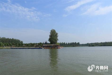 东明黄河湿地公园正式成为菏泽首家“国家湿地公园”_山东频道_凤凰网