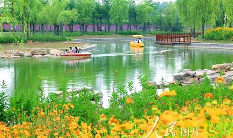 安徽濉溪：乡村生态美景引客来|月亮湖|百善镇|濉溪县_新浪新闻