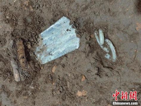 南阳黄山遗址入选2021年中国考古六大新发现 -大河新闻
