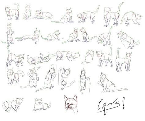 教你画可爱动物简笔画-露西学画画