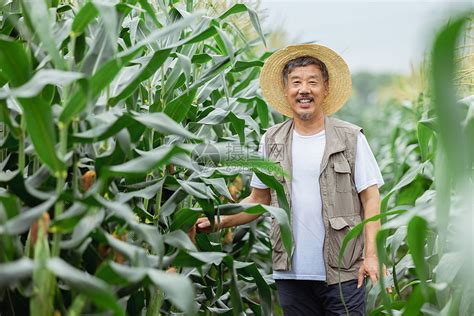 玉米人图片