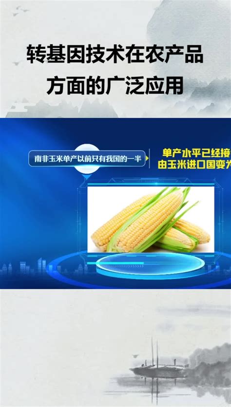 转基因技术在农产品方面的广泛应用(二)_凤凰网视频_凤凰网