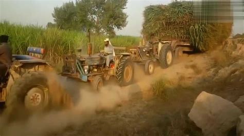 又开挂了！印度三哥为了一车甘蔗，3辆拖拉机疯狂咆哮_腾讯视频